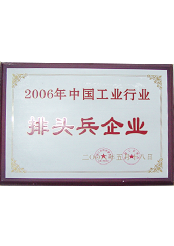 戴維醫(yī)療_2006年中國工業(yè)行業(yè)排頭兵企業(yè)